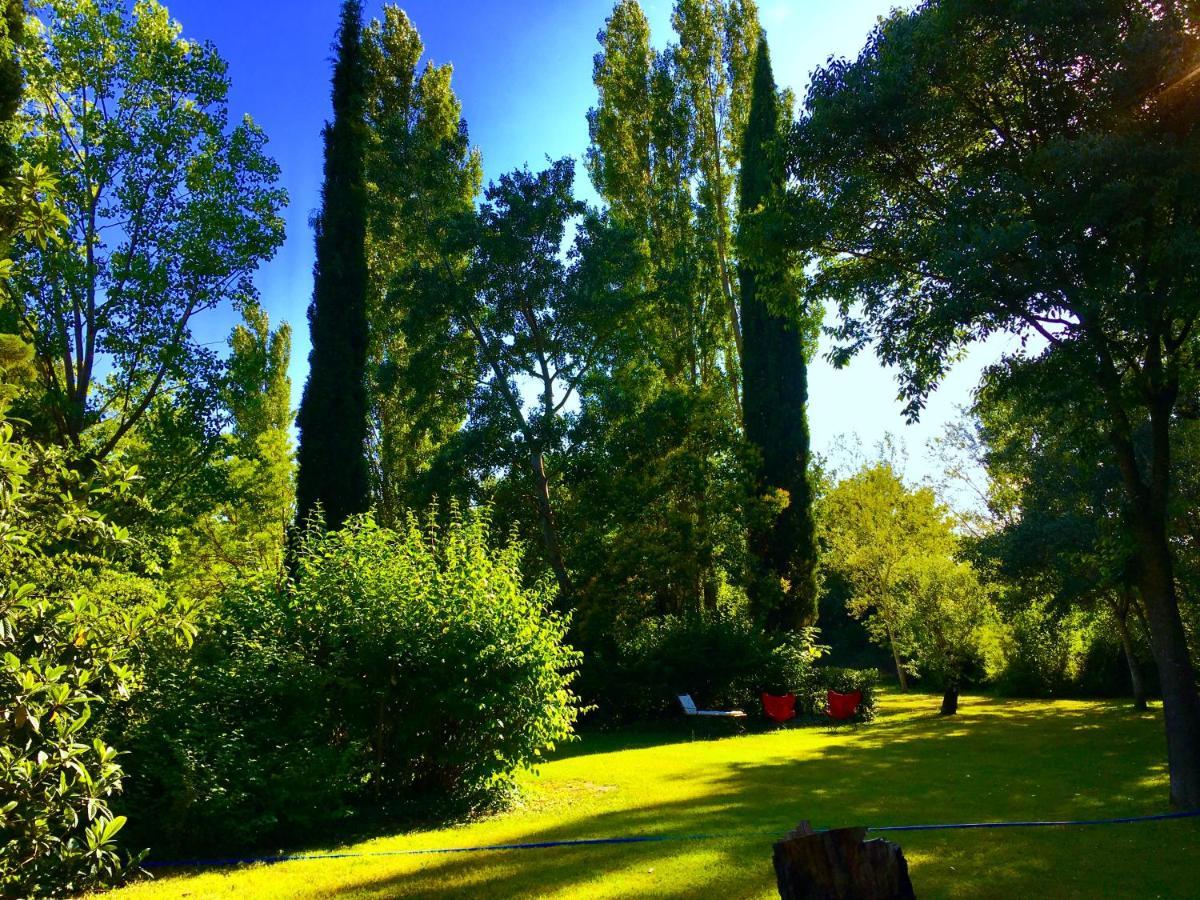 Campagne Baudeloup Bed & Breakfast LʼIsle-sur-la-Sorgue Exterior foto