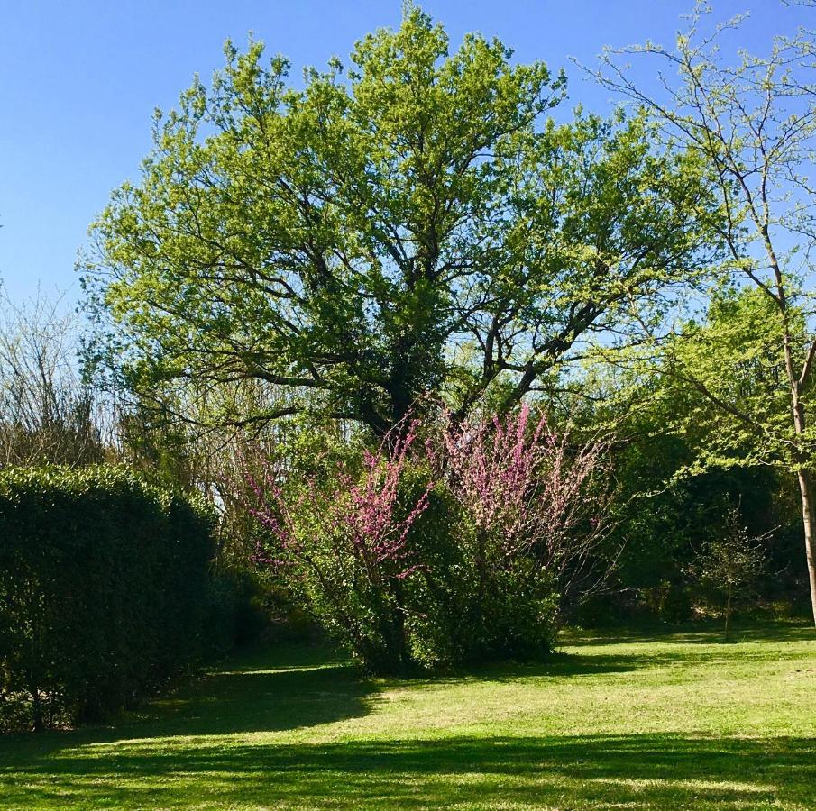 Campagne Baudeloup Bed & Breakfast LʼIsle-sur-la-Sorgue Exterior foto