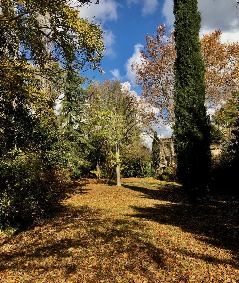 Campagne Baudeloup Bed & Breakfast LʼIsle-sur-la-Sorgue Exterior foto