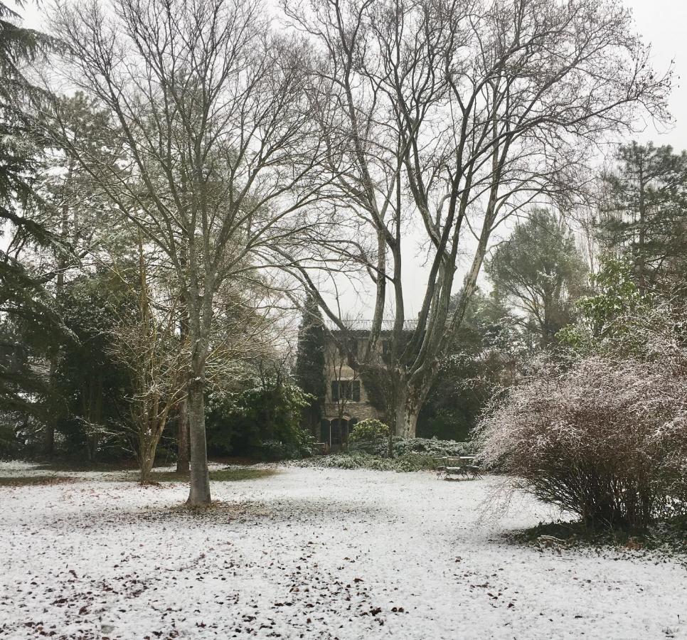 Campagne Baudeloup Bed & Breakfast LʼIsle-sur-la-Sorgue Exterior foto
